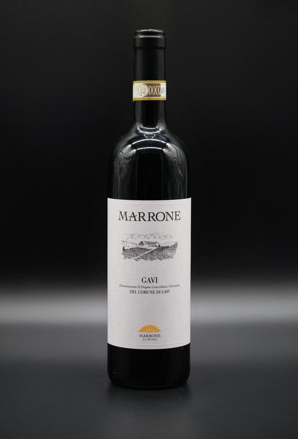 Marrone Gavi